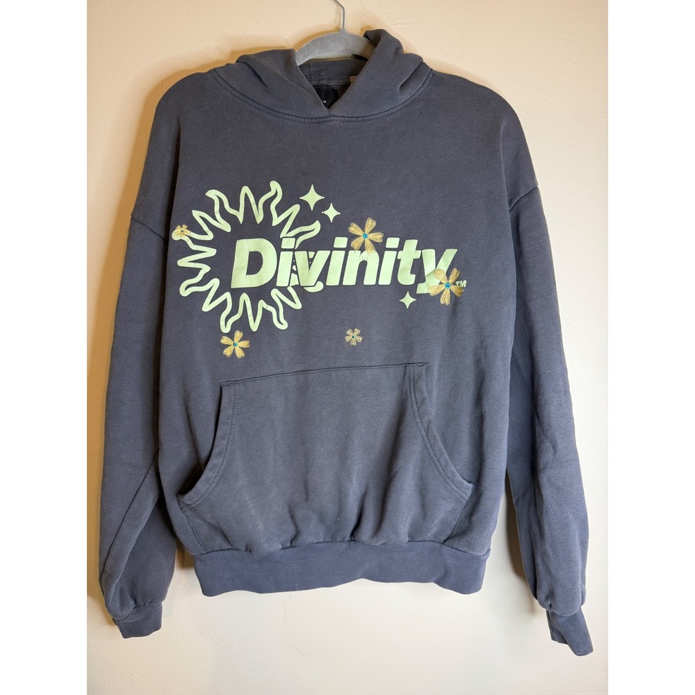PacSun Divinity Graphic Hoodie Gray Embroidered Floral Sun Sweatshirt Small